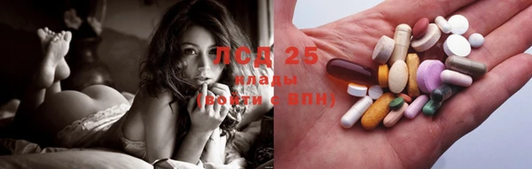 ГАЛЛЮЦИНОГЕННЫЕ ГРИБЫ Баксан