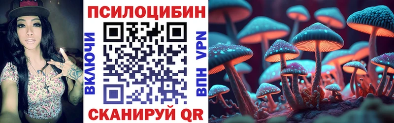 Псилоцибиновые грибы Psilocybe Никольск